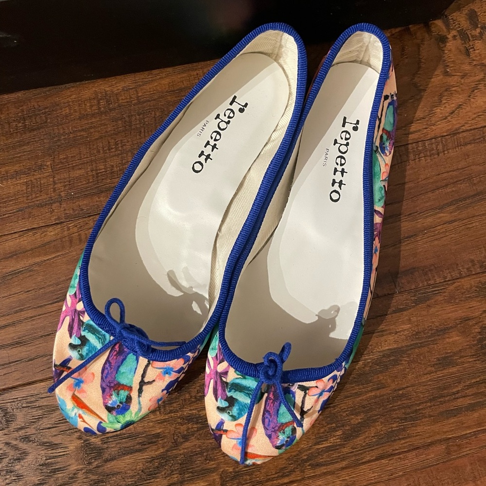 Repetto cendrillon flat 6 new